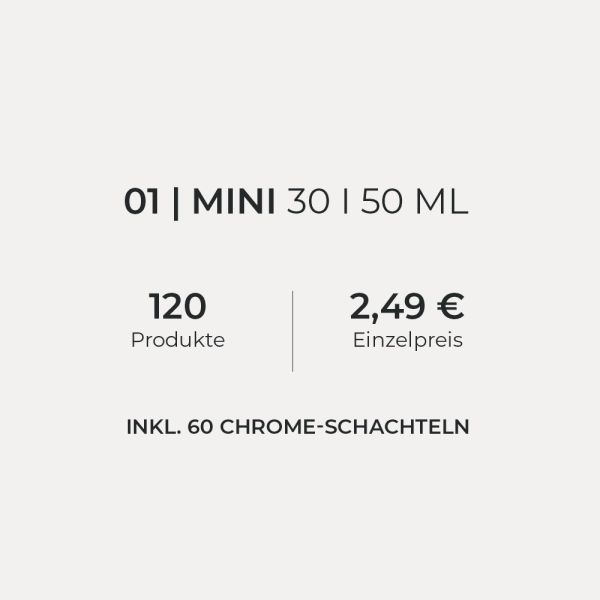 Xmas Gift - Mini 01