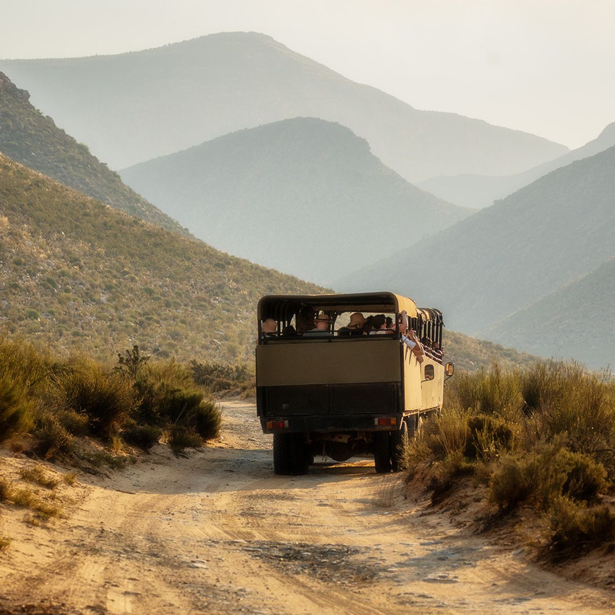 Offener Safari-Gel&auml;ndewagen mit mehreren Personen f&auml;hrt &uuml;ber einen staubigen Weg durch eine weitl&auml;ufige Berglandschaft im warmen Sonnenlicht.